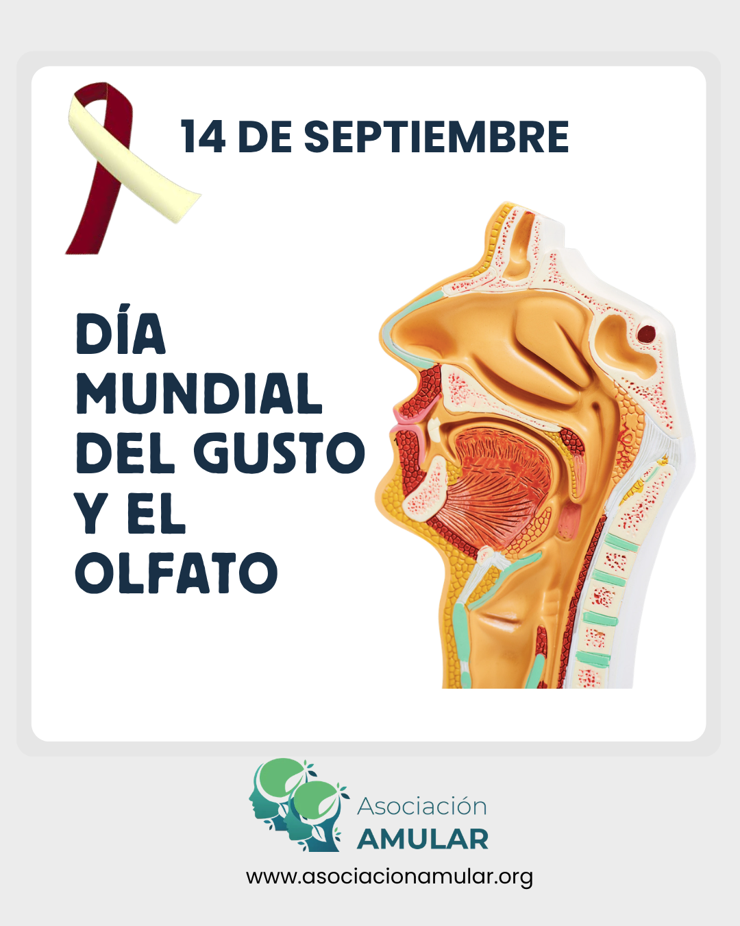 Día Mundial Contra el Cáncer de cabeza y cuello_Asociacion_Amular